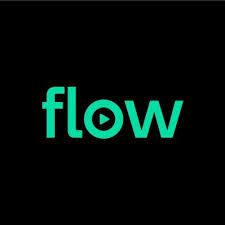 Flow Logo